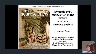 Dynamic DNA Methylation in the Mature Mammalian Nervous System Hongjun Song PhD [upl. by Kunz320]