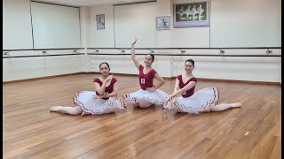 Discovering Repertoire  FORMS Ballet and Dance Centre ballet [upl. by Fulks]