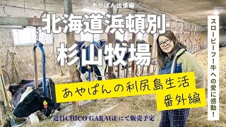 北海道【浜頓別】オホーツク海側にある町の杉山牧場に潜入！！そこには、牛への愛がいっぱいでした！ [upl. by Soble]