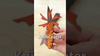 Should Spring Knives be Stored Open or Closed  KnifeTips Shorts [upl. by Ahsirk]