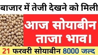 soyabeen भाव 21 फरवरी 2024  सोया प्लांट भाव लाइवsoya plant 2023 [upl. by Anaul]