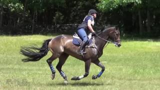 Catie Morgan amp Quigase Du Lac  Groton House Farm Horse Trials 2016 [upl. by Erie]