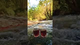 Dersim keşfet reels vlog dersim shorts video manzara munzur köy doğa aşk huzur orman [upl. by Lyrej]