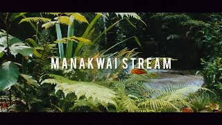 Manakwai Stream North Malaita [upl. by Wallache]