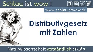 Distributivgesetz mit Zahlen [upl. by Atis]