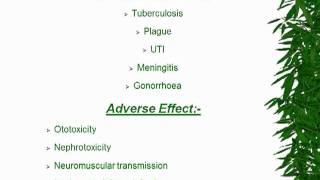 PPT Presentation On AMINOGLYCOSIDE AND MACROLIDE [upl. by Aninnaig]