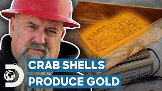 Crab Shells Help Hoffmans Find Big Gold Haul  Hoffman Family Gold [upl. by Odnolor]