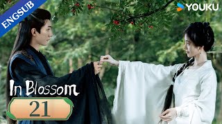 In Blossom EP21  Thriller Romance Drama  Ju JingyiLiu Xueyi  YOUKU [upl. by Ataga432]