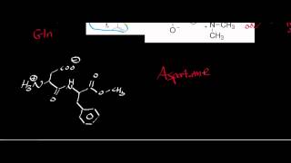 Biochemistry  Catabolism of Asparagine amp Aspartate to Oxaloacetate [upl. by Eelirol809]