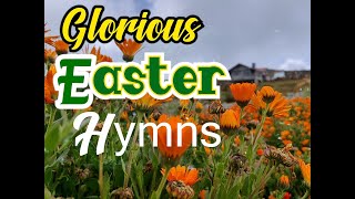 Glorious Easter HymnsSongsKriss Rhoda SheshyLifebreakthroughMusic [upl. by Eiralih]