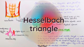 Hesselbach triangle  Easy notes and explanation in hindi 3D Anatomy [upl. by Biddy]