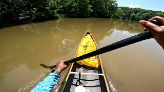 Paddling The Race Canoe And Chasing Off Wild Hogs [upl. by Arola]