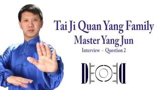 MADDECODE  Tai Ji Quan  Master Yang Jun  What Fang Song means [upl. by Asserac]