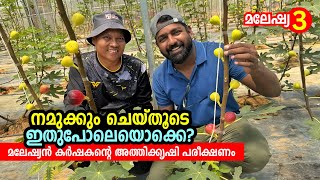 മലേഷ്യൻ കർഷകന്റെ പരീക്ഷണക്കൃഷി  Fig Farm in Malaysia  Edible Bird‘s Nest A Chinese Delicacy [upl. by Safier]