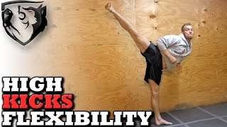 How to Kick Higher Stretching for Head Kick Flexibility [upl. by Icat]