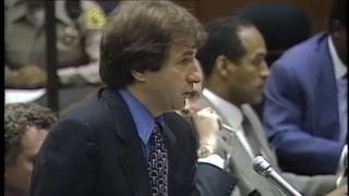 OJ Simpson Trial  September 20th 1995  Part 1 [upl. by Lammond]