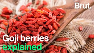 The positives and negatives of Goji berries [upl. by Natanhoj144]