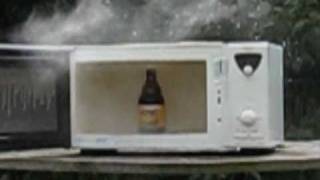 Microwave Experiments The Booze Episode [upl. by Naerda]