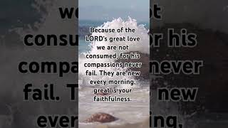 Lamentations 32223 bibleverse music devotional meditation love jesus motivation quotes [upl. by Aaberg]