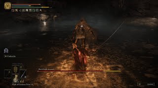 Elden Ring invisible Black Knife Assassin Sage Cave boss guide  No Damage  2024 [upl. by Janel357]