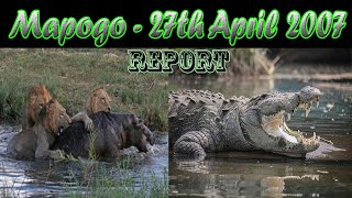 Mapogo Lions  Three Mapogos vs Hippo vs Crocodile [upl. by Natehc]