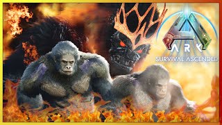 Taming a Fire Demonic Gorilla  ARK Amissa Descended Chaos Ep 29 [upl. by Bud]