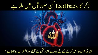 zikar ka feed back kesy milta hai  Allah ki muhabbat ka hasool  ShineWithEman [upl. by Esinehs189]