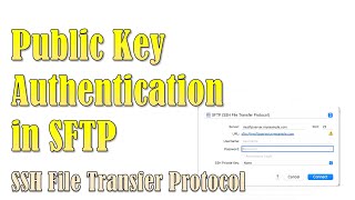 Using Public Key Infrastructure for Authentication Public key authentication in SFTP SSH  FTP [upl. by Xavler]