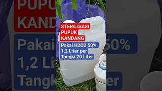 DOSIS H2O2 YANG TEPAT UNTUK STERILISASI PUPUK ORGANIK SEBELUM TANAM BAWANG MERAH [upl. by Yesllek]