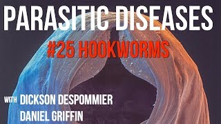 Parasitic Diseases Lectures 25 Hookworms [upl. by Bubb]