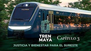 Tren Maya Capítulo 3 Mar de selva [upl. by Black]