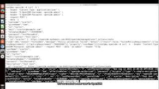 OpenIDM REST Interface [upl. by Tychonn418]