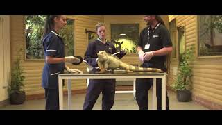 Moulton College  Animal Welfare Courses [upl. by Tully]