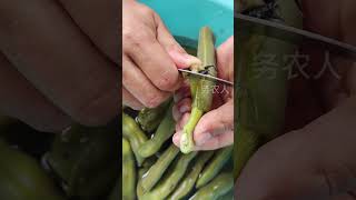 Vegetables Cutting shorts youtubeshorts agriculture farming [upl. by Marylee]