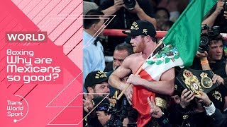 Why are Mexicans so good at Boxing  Trans World Sport [upl. by Fredette]