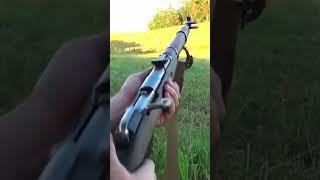 Loading And Shooting Sound Of M44 Mosin Nagant Shorts [upl. by Zetniuq]