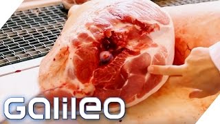 Das Geheimrezept für ParmaSchinken  Galileo  ProSieben [upl. by Odnomar]