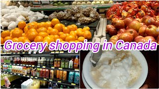 Grocery shopping🛒 in Canada🇨🇦 Hmart Homesense T ampT cooking soya dessert [upl. by Ativahs]