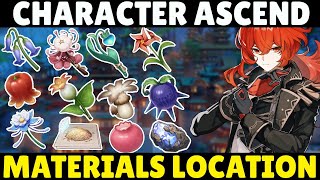 Genshin Impact  All Characters Ascend Material Locations Farming Route  Local Specialty Materials [upl. by Nyrehtak960]