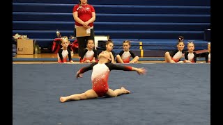 Level 3 floor routine 1st place 9225 [upl. by Adler748]