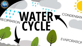 Water Cycle  How the Hydrologic Cycle Works [upl. by Norvall405]