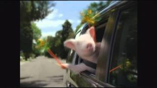 GEICO Commercial  Did the little piggy cry wee wee wee all the way home [upl. by Phylys]