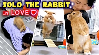 Rabbit Body Language 4 Strangest Rabbit Behaviors When Theyre in Love [upl. by Tyson]