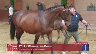 Lot 27 La Chance des Beaux Trophee du Soleil 2024 [upl. by Rhetta]