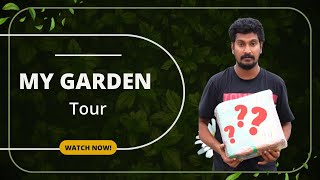 My 🪴garden tour gardening [upl. by Margarita]