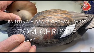 Painting a Drake Gadwall Wing [upl. by Eicyal90]