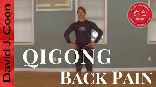 5 Easy Qigong Beginner Exercises for Back Pain [upl. by Havstad]