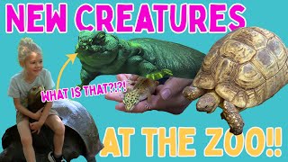 Zoo Adventure with JuJu Lizards Turtles and a Singing Camel [upl. by Weiser]