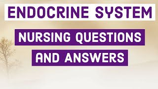 Endocrine System  Nursing Questions and Answers hormone [upl. by Jeffry]