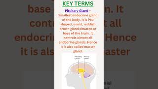 GCSE BIOLOGY Homeostasis and response complete Revision summary [upl. by Ruhtracam]